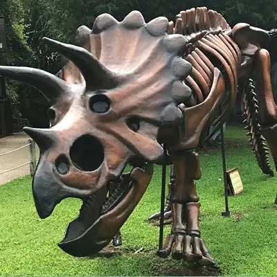 Hand-painted triceratops skeleton sculpture, detailed outdoor park artwork with sculpted bone texture and dramatic prehistoric styling.